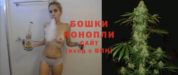 spice Горняк