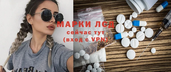 spice Горняк