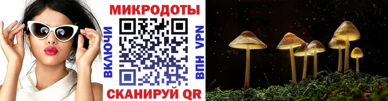 купить наркоту  это официальный сайт  Псилоцибиновые грибы GOLDEN TEACHER  Дмитровск 